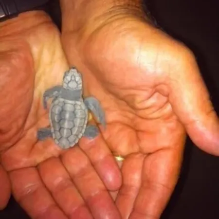 Aquamarine Appart hôtel 4*